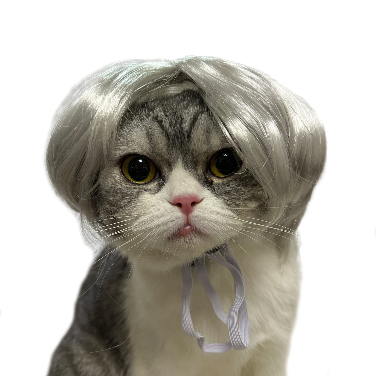 TESSVEYA Funny Dog Cat Cosplay Wig Headwear Apparel Toy Cat Dress up for Halloween Christmas Parties Festivals Wigs for Small Medium Dogs and Cats